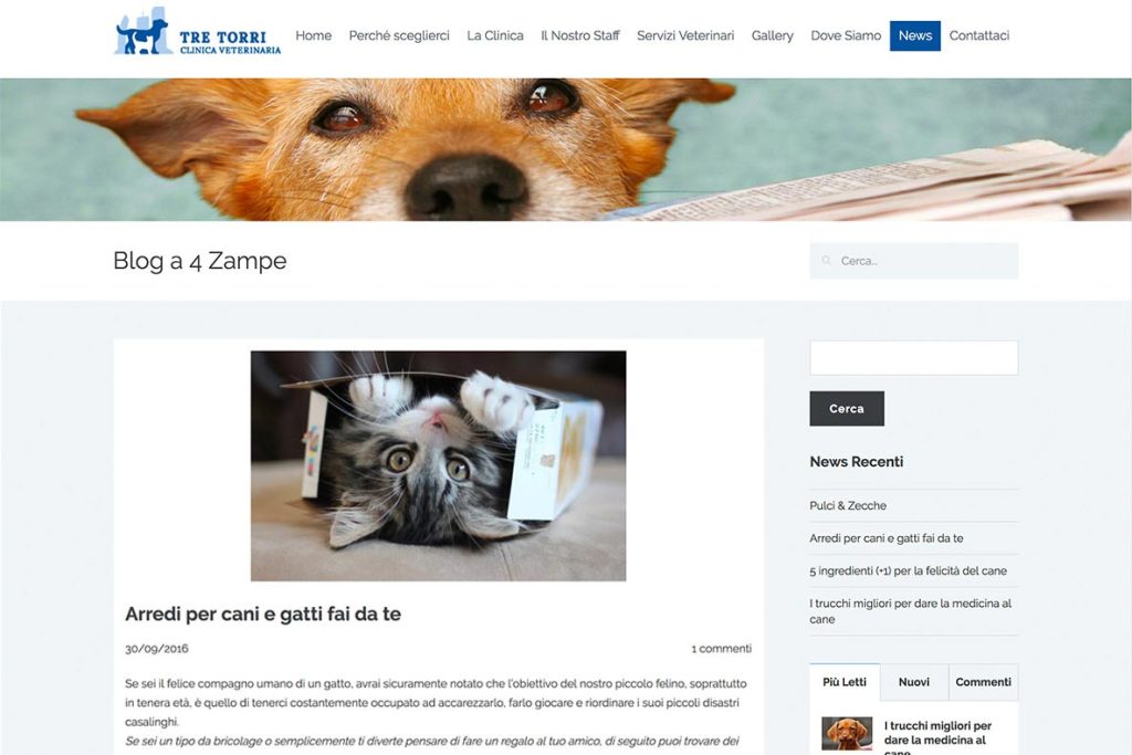 Sito web clinica veterinaria tre torri blog