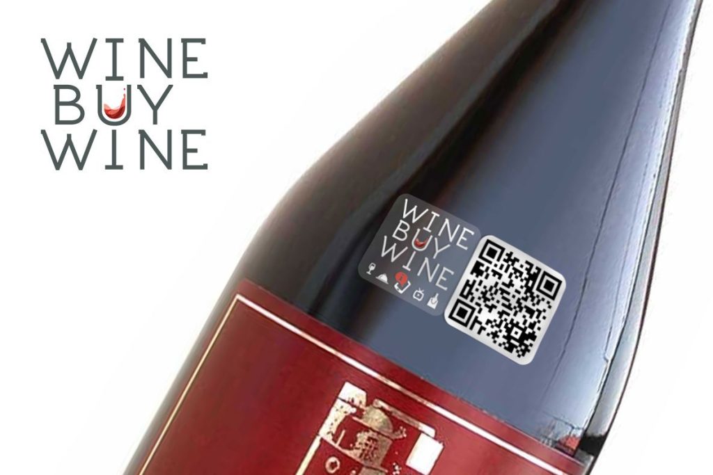 Sito eCommerce wine buy wine logo