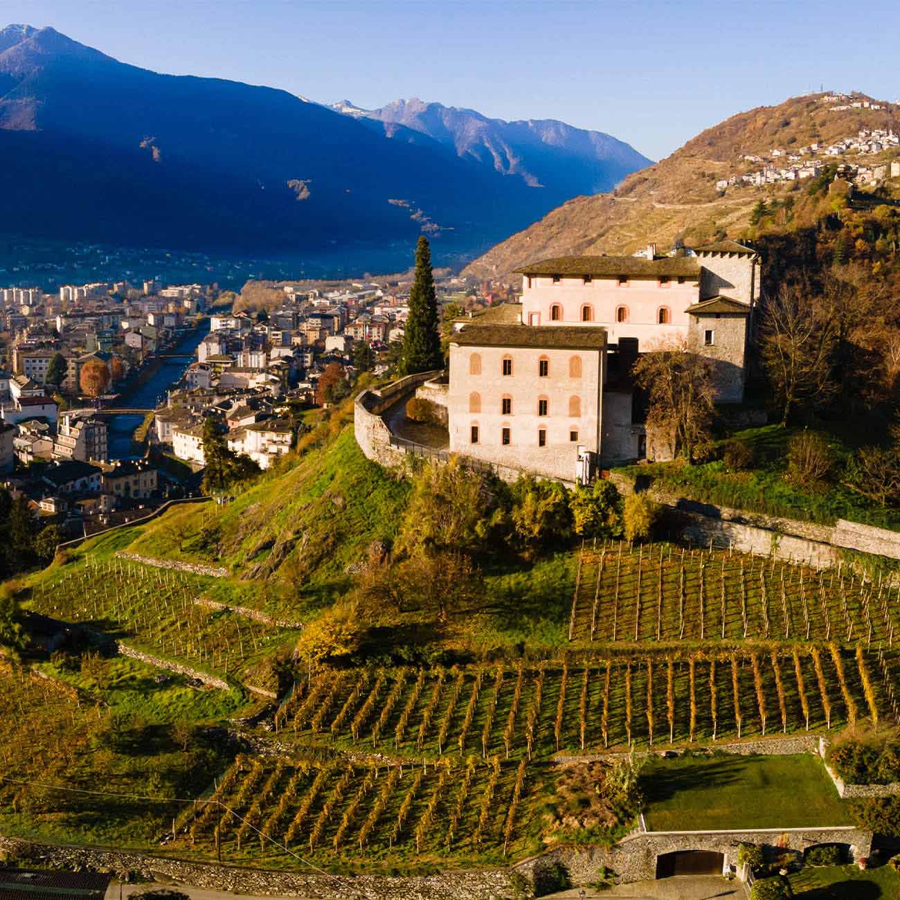 copertina Sito Azienda Agricola Marsetti